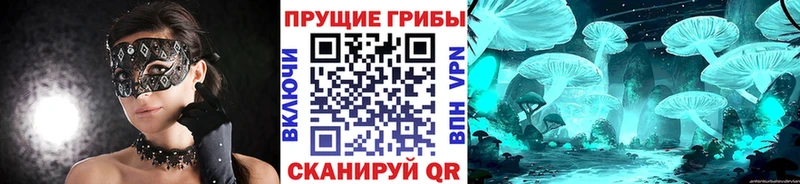Купить закладки  Стрежевой  Галлюциногенные грибы Magic Shrooms 